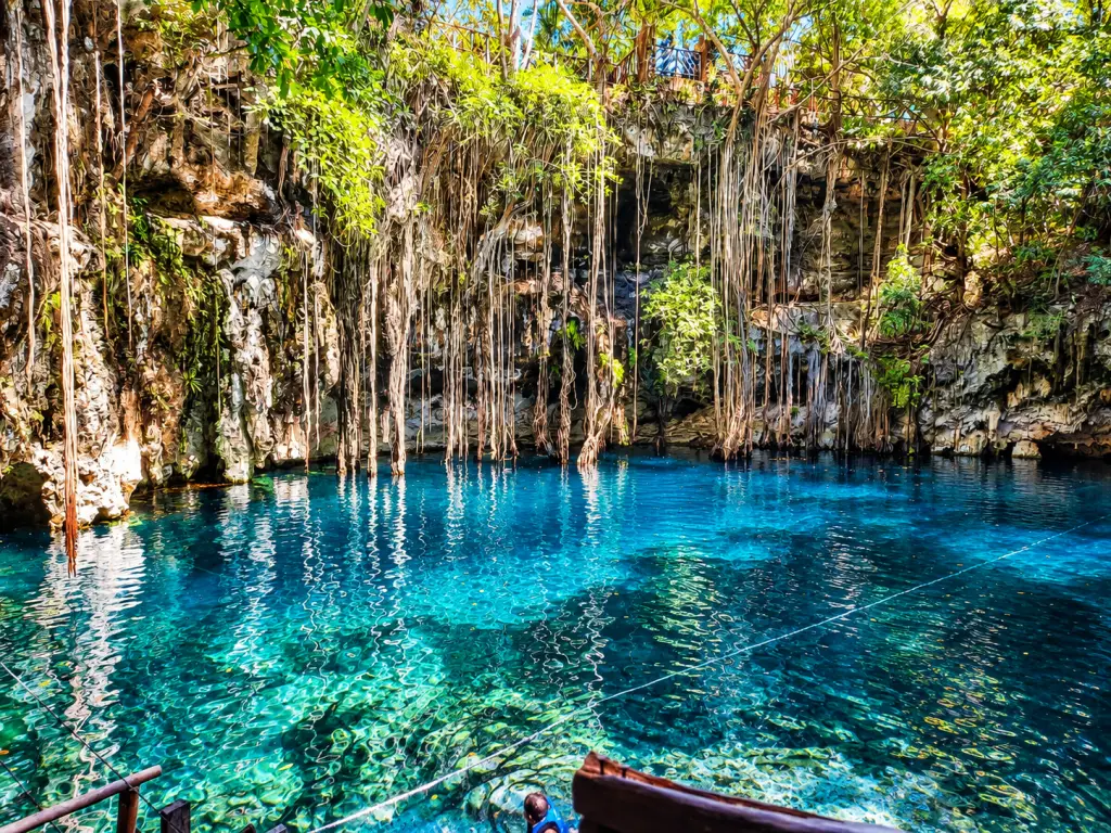 Homun & Cuzama Cenote Circuit - Escena 4