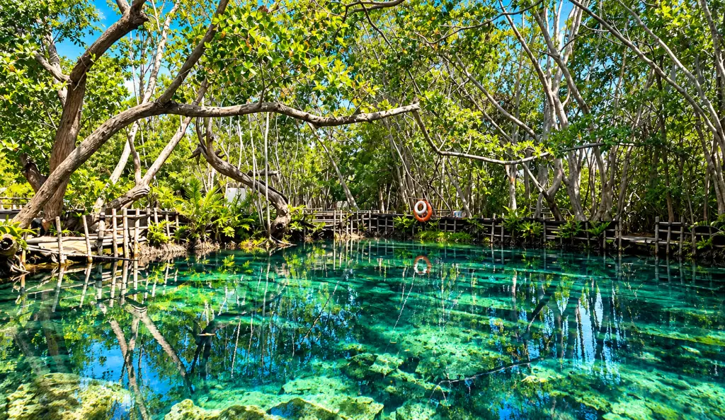 Complete Yucatan - Escena 4